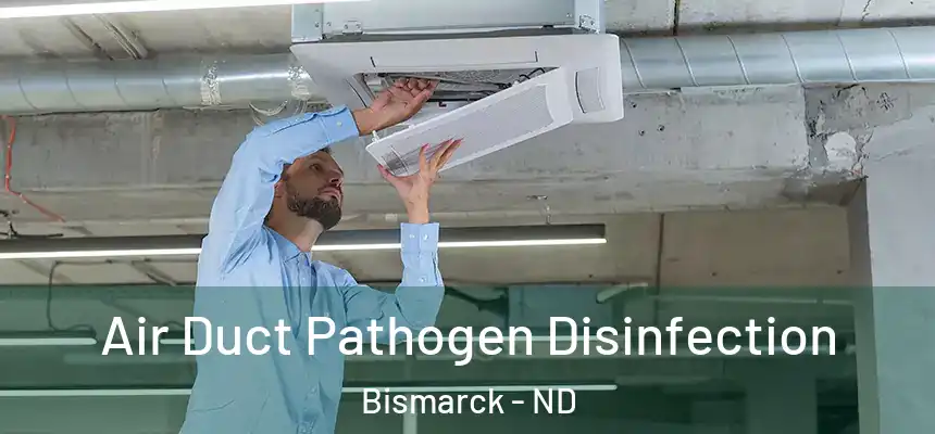Air Duct Pathogen Disinfection Bismarck - ND