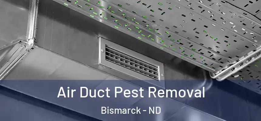 Air Duct Pest Removal Bismarck - ND