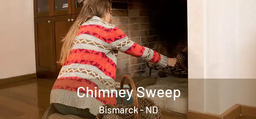 Chimney Sweep Bismarck - ND