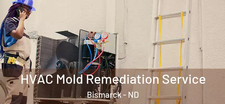  HVAC Mold Remediation Service Bismarck - ND