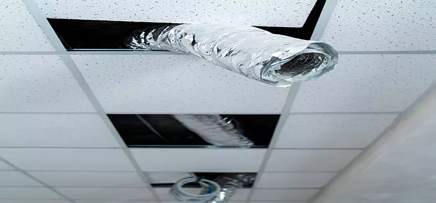 Affordable HVAC Sanitizing After Pest Removal in Bismarck