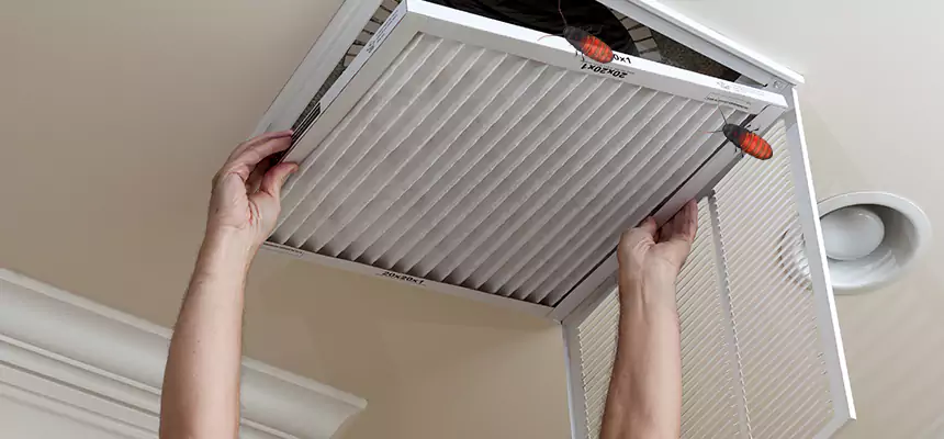 Our Insect Removal from Air Ducts Services in Bismarck, ND