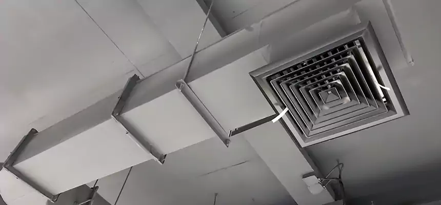 Our Pest Removal From Ducts Services in Bismarck, ND