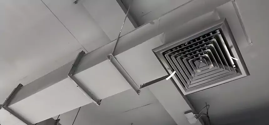 Our Rodent Droppings In Vents Services in Bismarck, ND