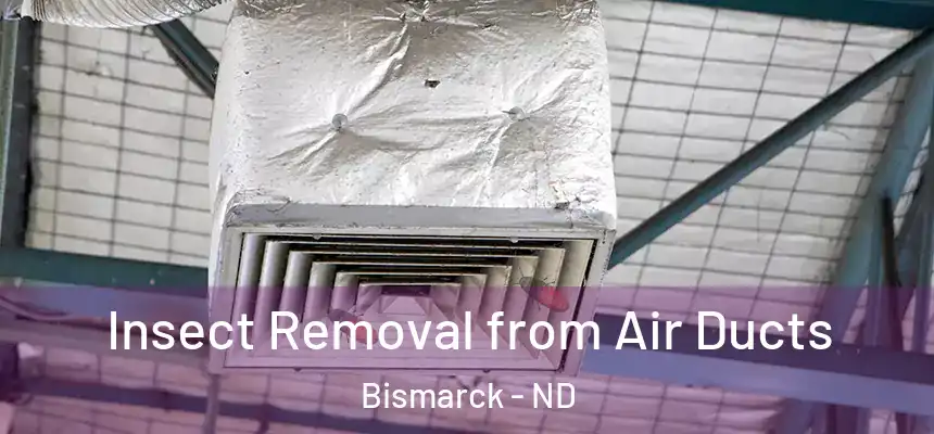 Insect Removal from Air Ducts Bismarck - ND