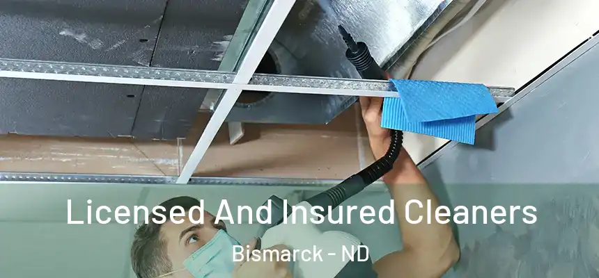 Licensed And Insured Cleaners Bismarck - ND