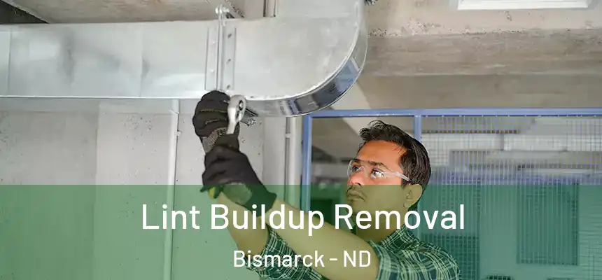  Lint Buildup Removal Bismarck - ND