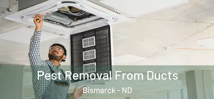 Pest Removal From Ducts Bismarck - ND