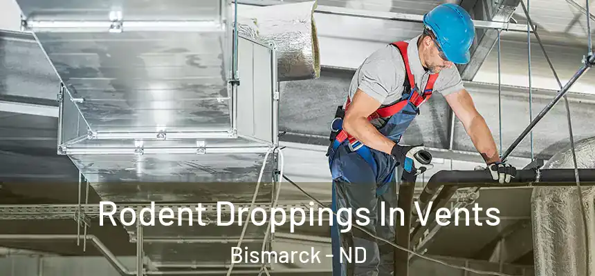 Rodent Droppings In Vents Bismarck - ND