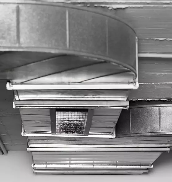 Professional Air Duct Pest Removal in Bismarck, ND