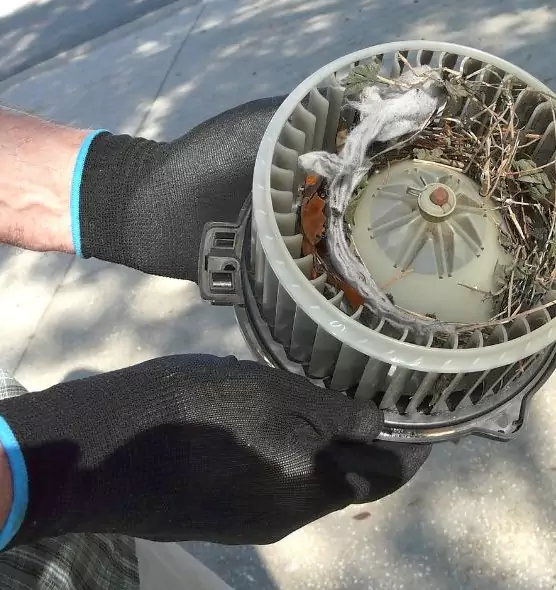 About Air Duct Rat Removal in Bismarck, ND