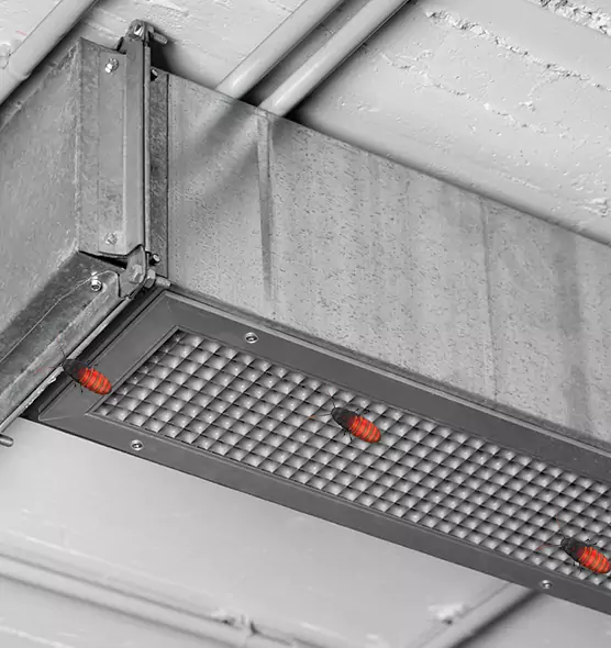 Affordable Insect Removal from Air Ducts in Bismarck, ND