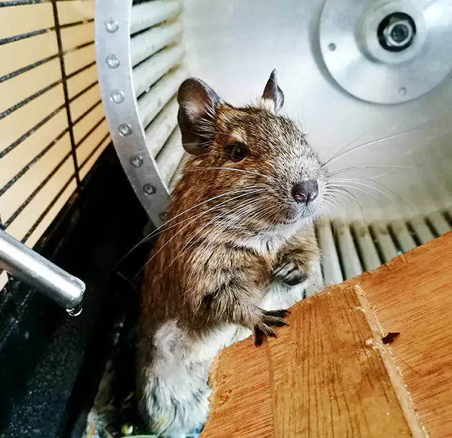 Why Homeowners & Businesses Trust Us Bismarck, ND?