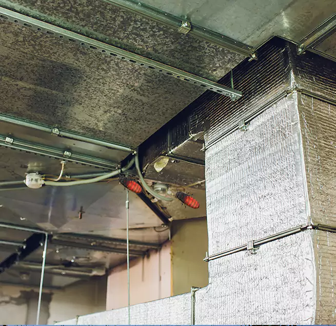 Why Homeowners & Businesses Trust Us Bismarck, ND?