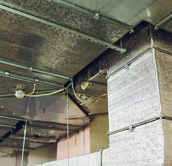 Why Homeowners & Businesses Trust Us in Bismarck, ND?